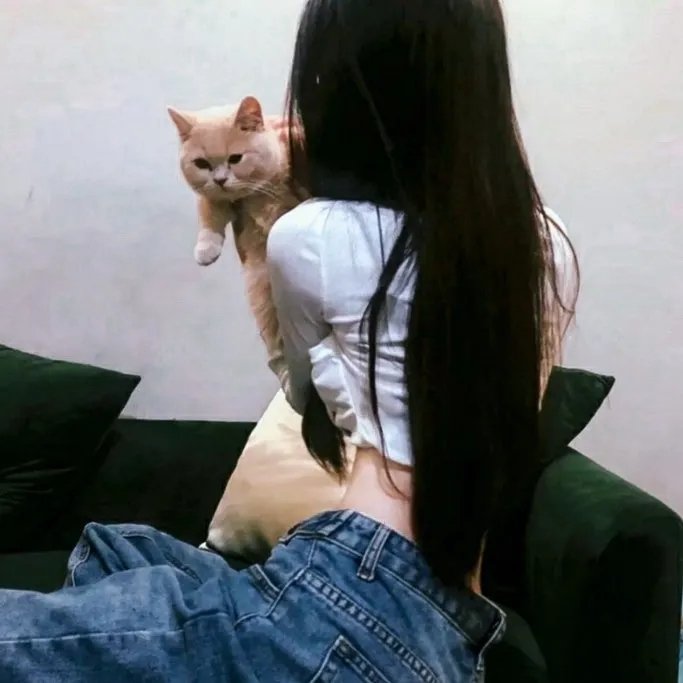 受诅咒的密西西比